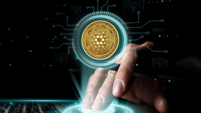 Gaining Insight into Bitcoin’s Trajectory of Acceptance