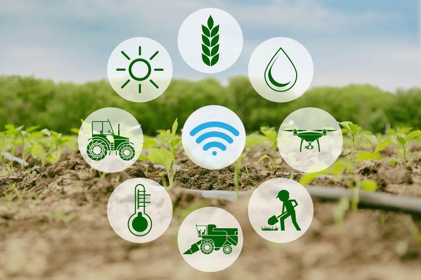 IoT in Agriculture