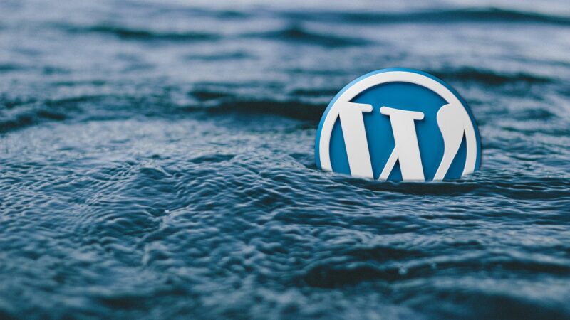 10 Ways to Secure Your WordPress Website