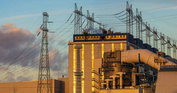 How to Choose the Right Electricity Supplier for Your Business?